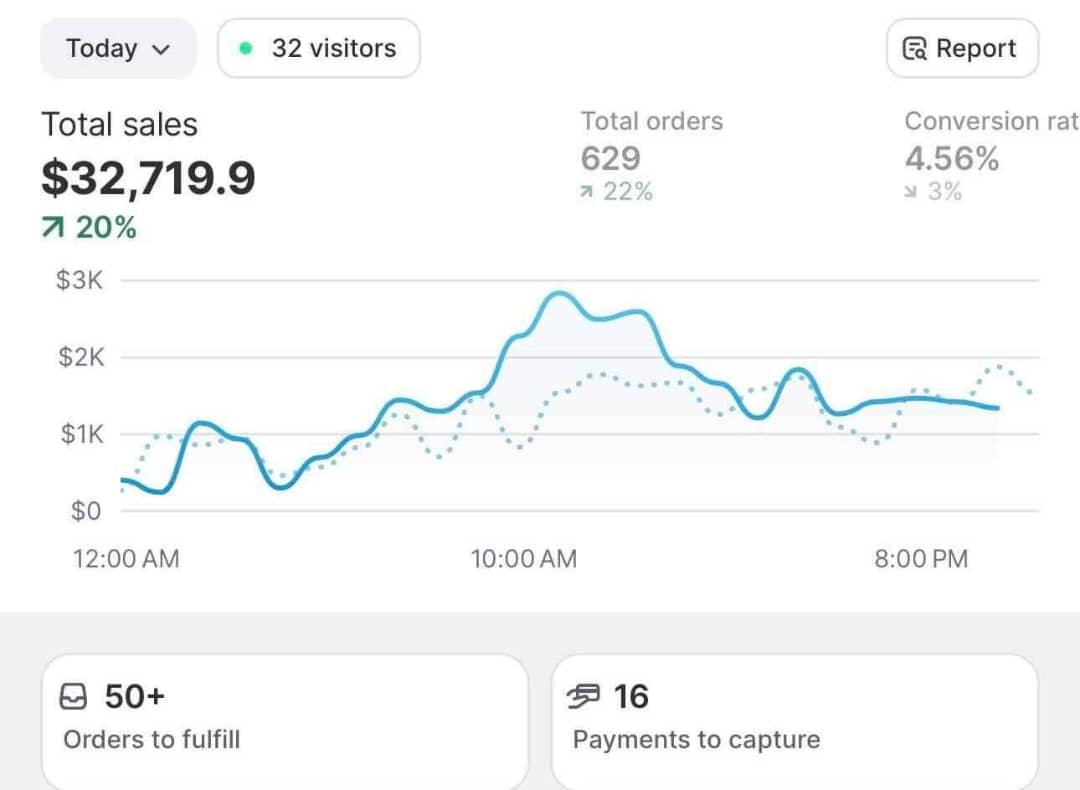 Shopify dashboard showing one day of sales.